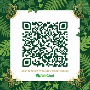 蘑菇视频公众号二维码
